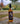 ANORIVIKING Honigwein Andenhonig 'Wotanspfad' 0,75l 10%Vol. Met