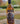 ANORIVIKING Waldschrat Honigwein 'Eiche' 10,5% Vol. 0,75l
